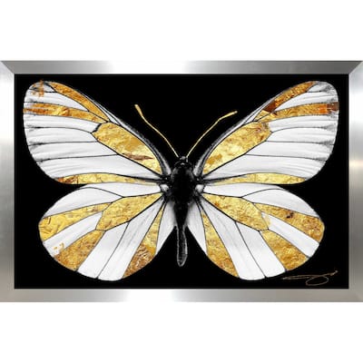 "Gold Butterfly" by Jodi Print on Acrylic