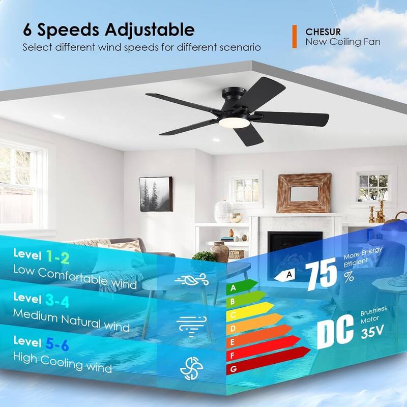 52 Inch Ceiling Fan with Light and Remote,Flush Mount Ceiling Fan,5 Dual Side Blades - 52 Inches