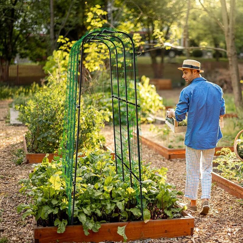 DoCred Garden Trellis for Climbing Plants, Outdoor Metal Trellis