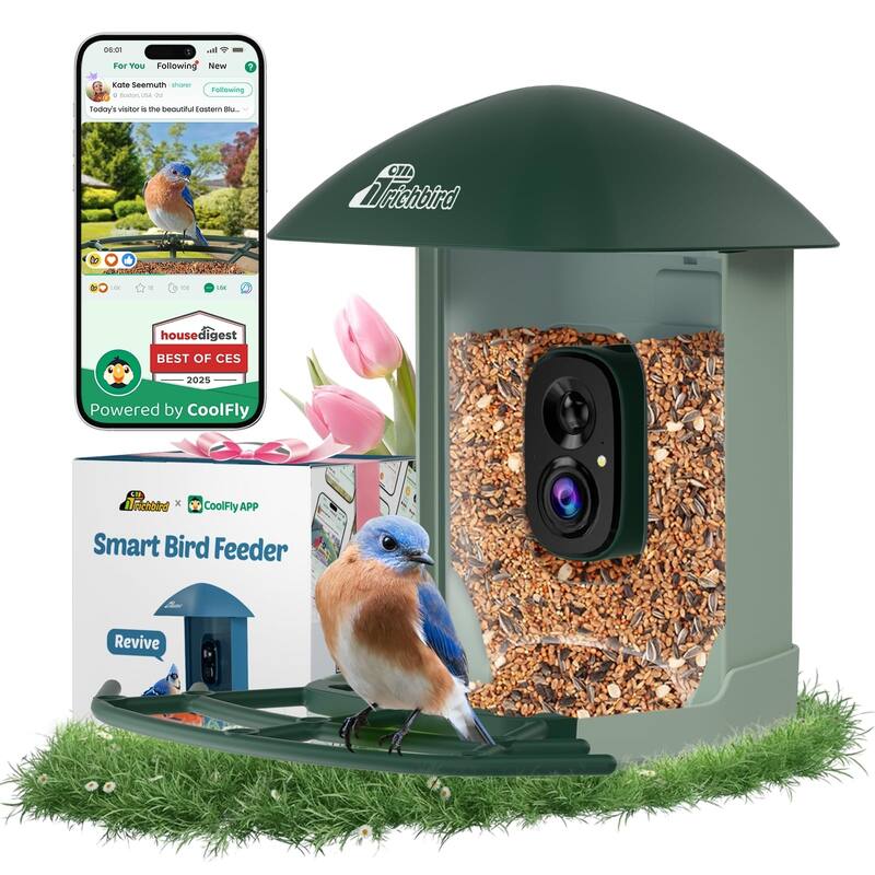 Smart Solar Bird Feeder with Camera and Interactive App - Green