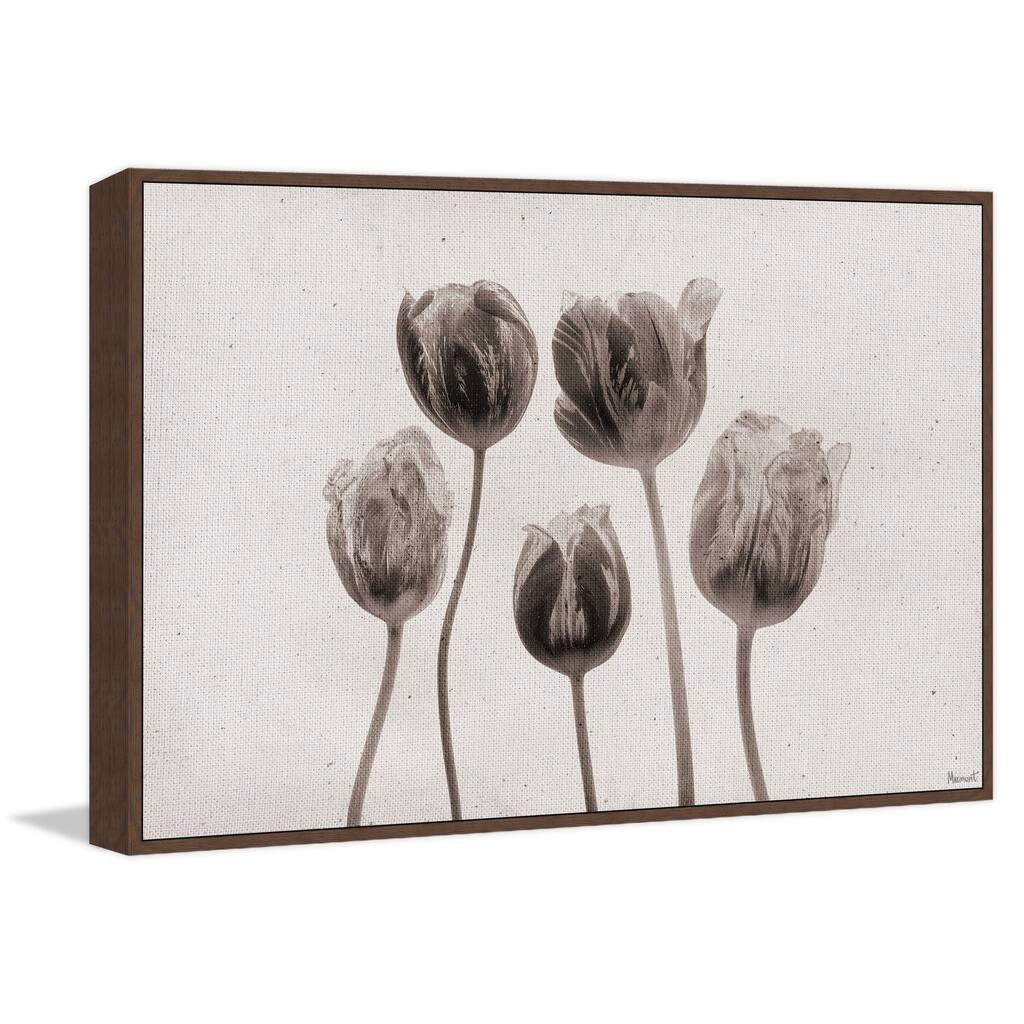 It's Tulip Time Floater Framed Print on Canvas