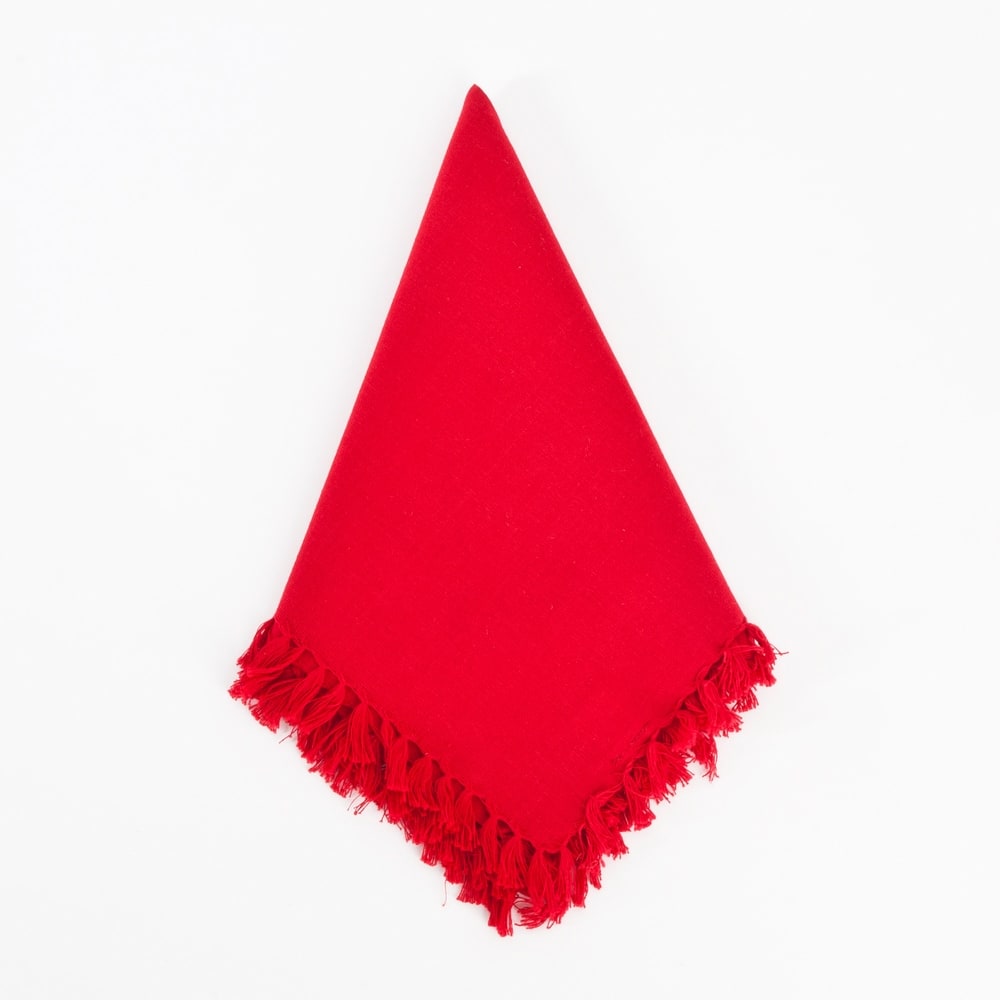 Fringed Design Napkins (set of 4)