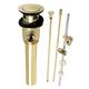 Option Polished Brass