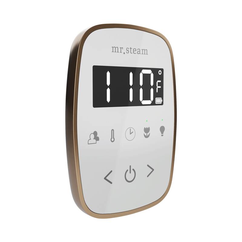 Mr Steam TF Tempoflex Steam Shower Control and Steamhead