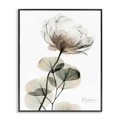 Stupell Simple Elegant White Flower Framed Giclee Art Design By Albert Koetsier
