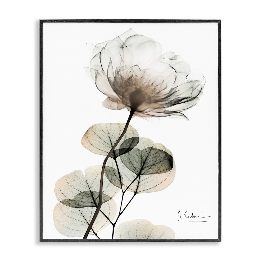 Stupell Simple Elegant White Flower Framed Giclee Art Design By Albert Koetsier