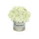 Option White, Provence