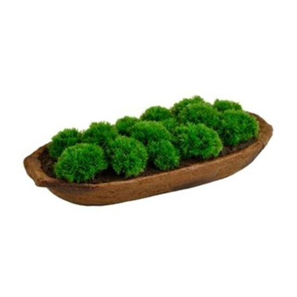Picnic at Ascot FP11 Moss