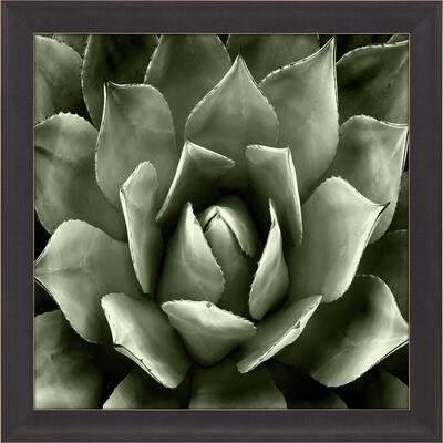 Green Succulent II Framed Art Giclee Under Glass