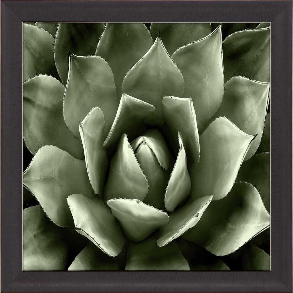 Green Succulent II Framed Art Giclee Under Glass