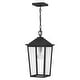 preview thumbnail 1 of 4, Mottled Black One Light Outdoor Hanging Lantern from the Stoneleigh Collection Mottled Black