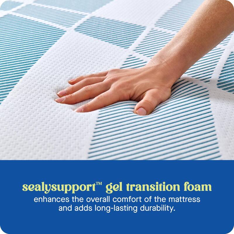 Sealy Dreamlife 6" Foam Mattress-in-a-Box