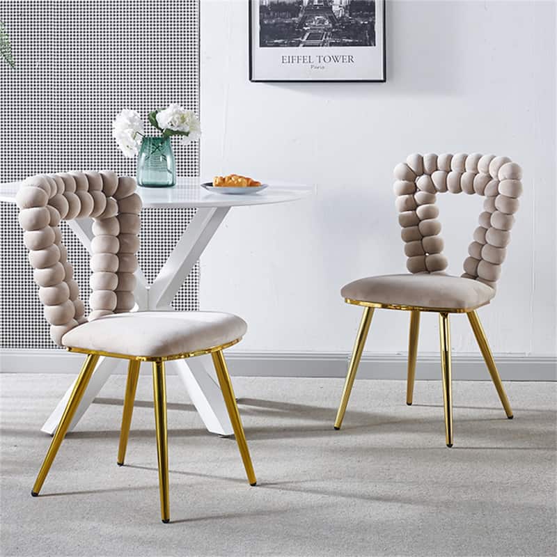 Modern Soft Accent Dining Chair (Set of 2)