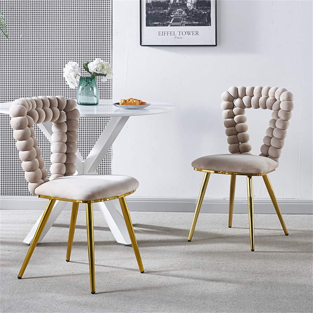 Modern Soft Accent Dining Chair (Set of 2)
