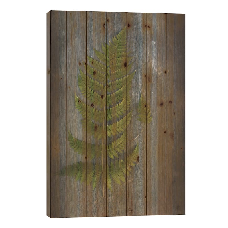 Woodland Fern V Print On Wood by Sue Schlabach - Multi-Color - 26x18x1.5