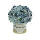 Option Blue, Provence