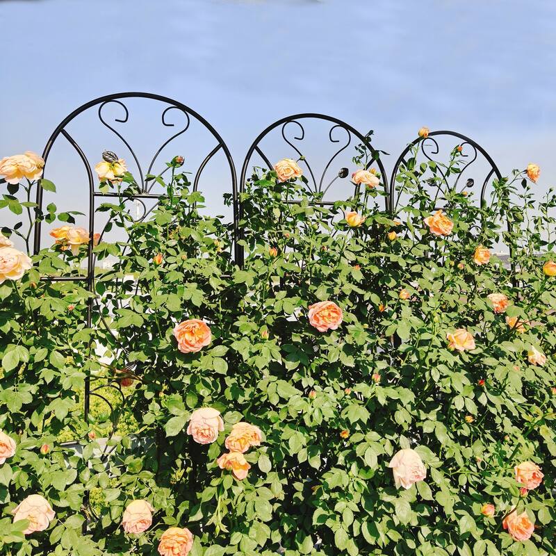 4 Pack Metal Garden Trellis 86.7in x 19.7in Rustproof Trellis