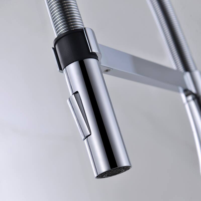 Dowell Series 8002/016 Single Handle Kitchen Faucet/Sprayer