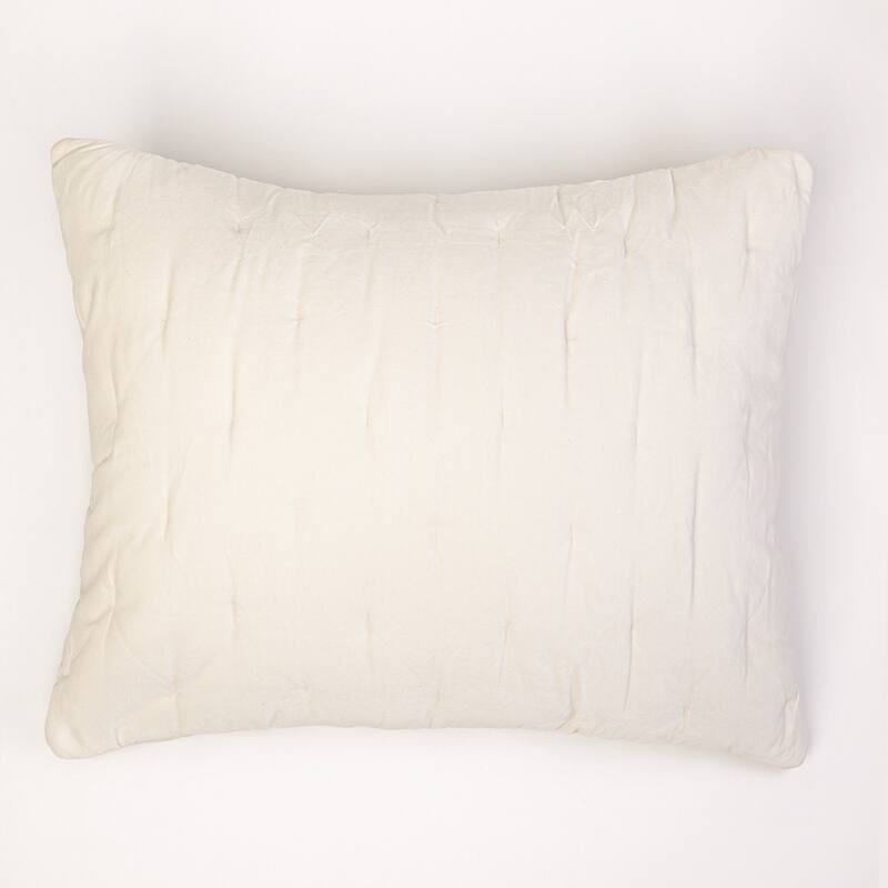 Mesa Linen & Velvet Sham, Ivory, Euro