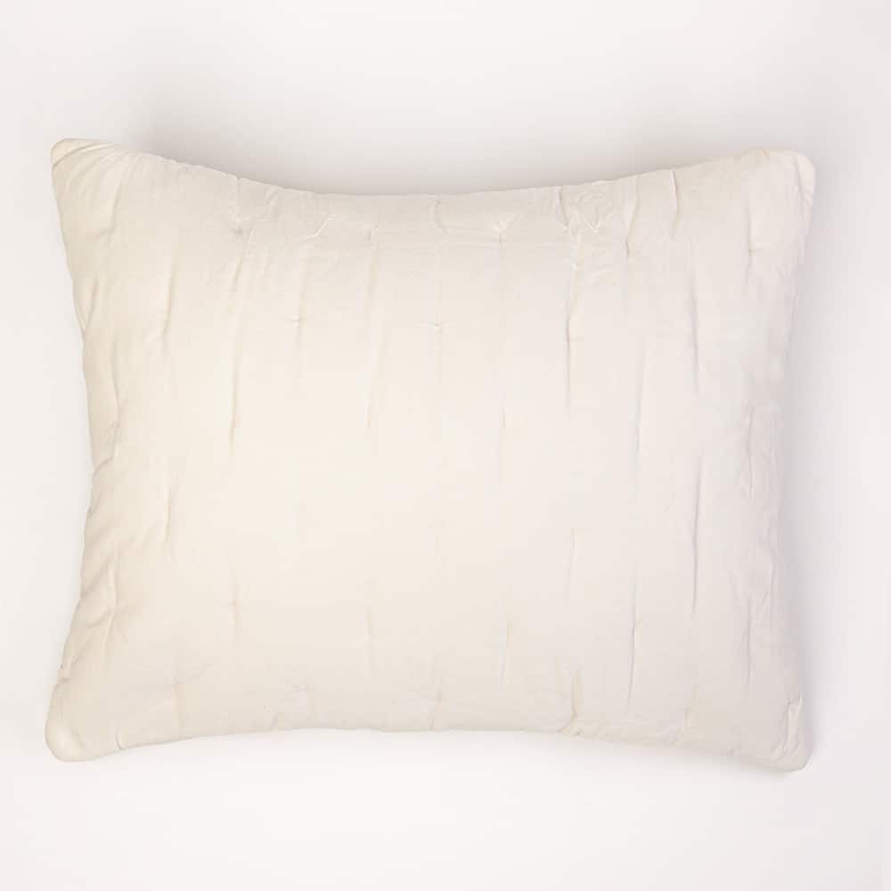 Mesa Linen & Velvet Sham, Ivory, Euro