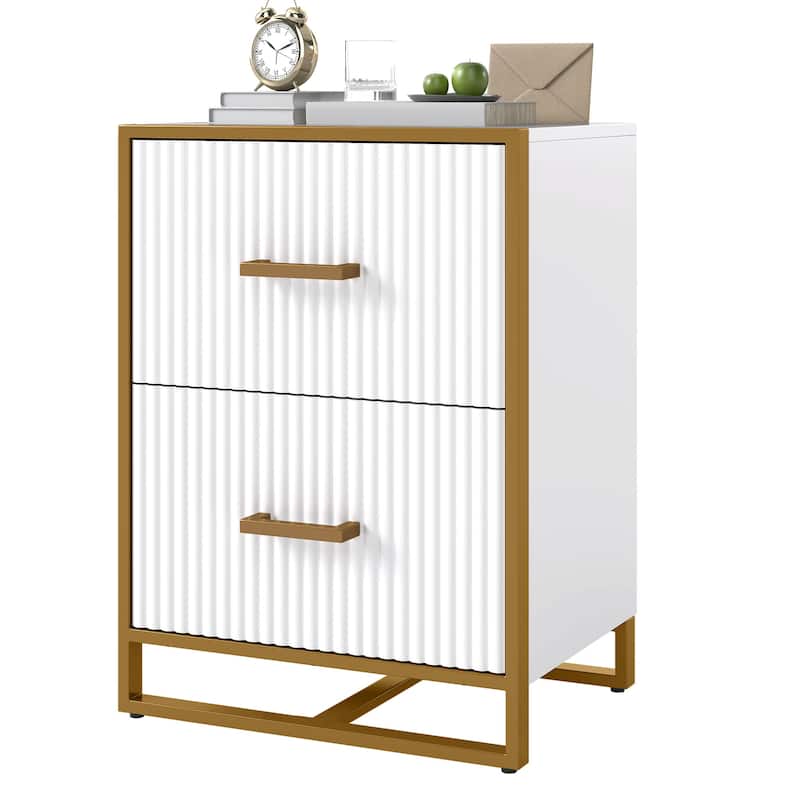 Moasis 2 Drawer File Cabinet with Gold Metal Handle