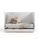 preview thumbnail 16 of 37, Graco Theo 3-in-1 Convertible Crib with Drawer