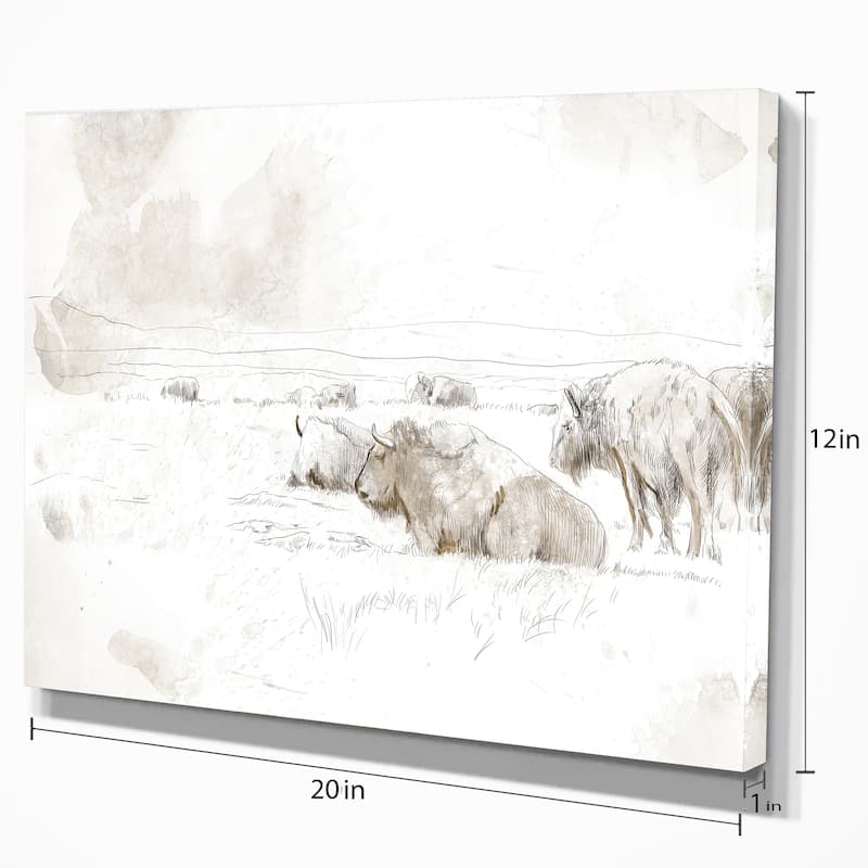 Designart "Wild Bison Buffalo Sketch" Farmhouse Animal Print on Wrapped Canvas