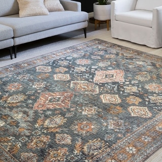 Alexander Home Leanne Traditional Distressed Printed Area Rug