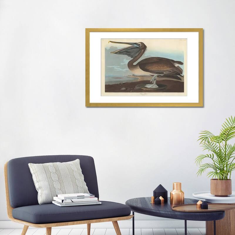 iCanvas "Brown Pelican" by John James Audubon