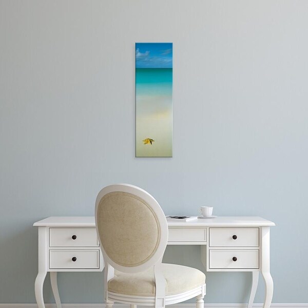 Easy Art Prints Panoramic Images's 'Starfish on the beach, Cat Island, Bahamas' Premium Canvas Art