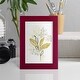 preview thumbnail 30 of 138, The Minimalist Garden II -Framed Print w/glass-Cherry Red