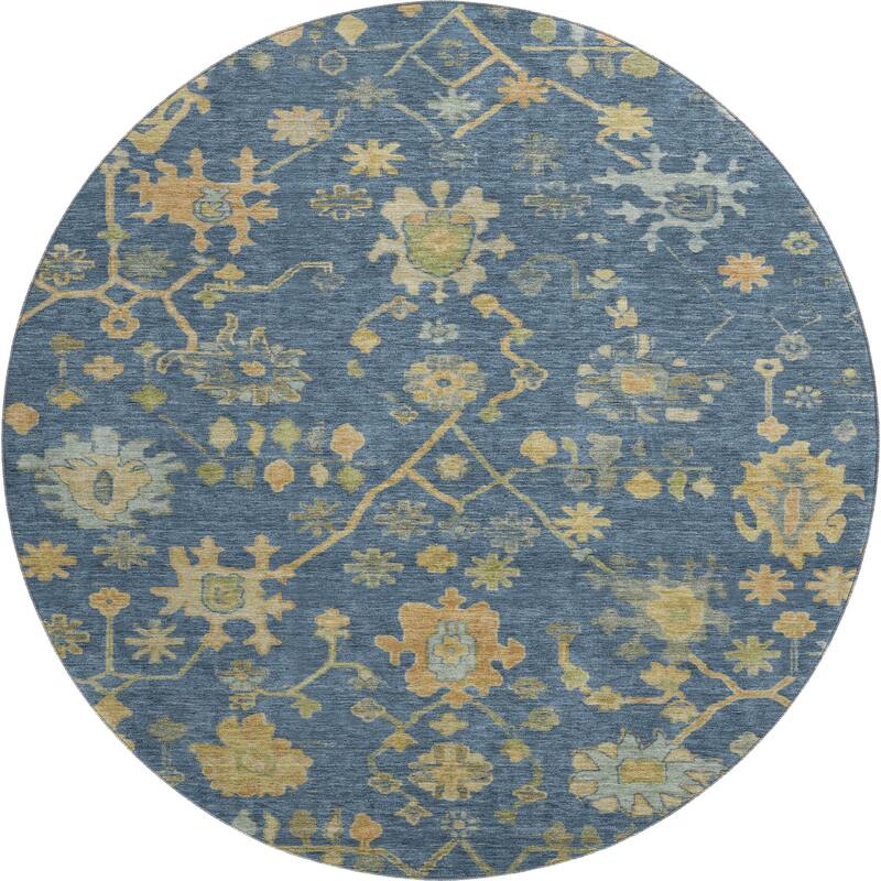 Premium Washable Super Soft Farmhouse Traditional Mayfield Rug