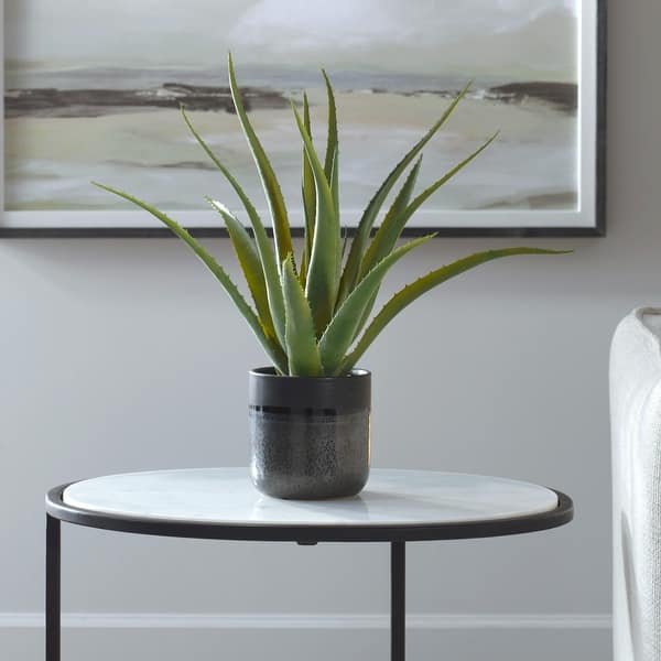 Glazed Ceramic Aloe Vera Planter - 19" - Gray - Bed Bath & Beyond - 42820433