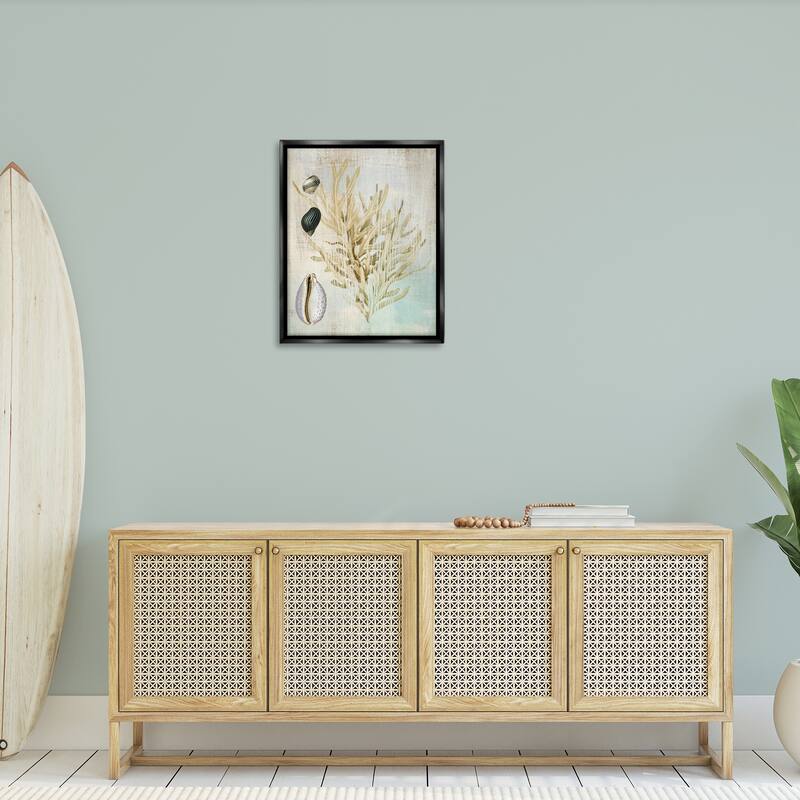 Stupell Coral Branch & Cowrie Shells Framed Floater Canvas Wall Art Design By Susan Arnot