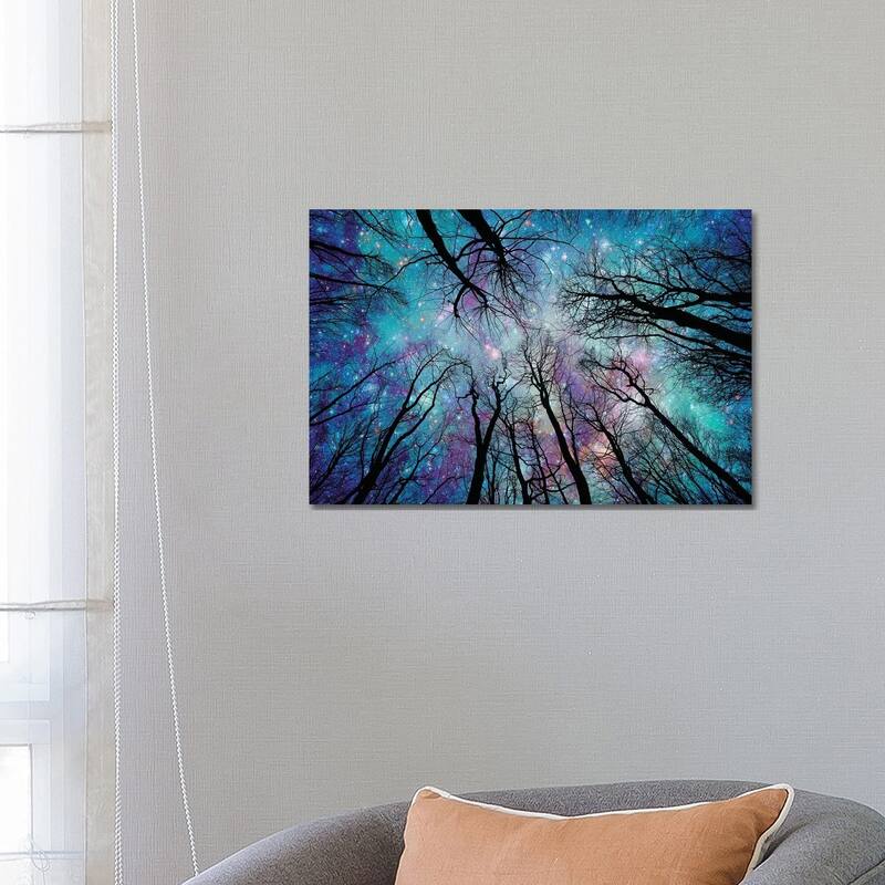iCanvas "Starlight" by Ros Berryman Canvas Print - 18x26x1.5