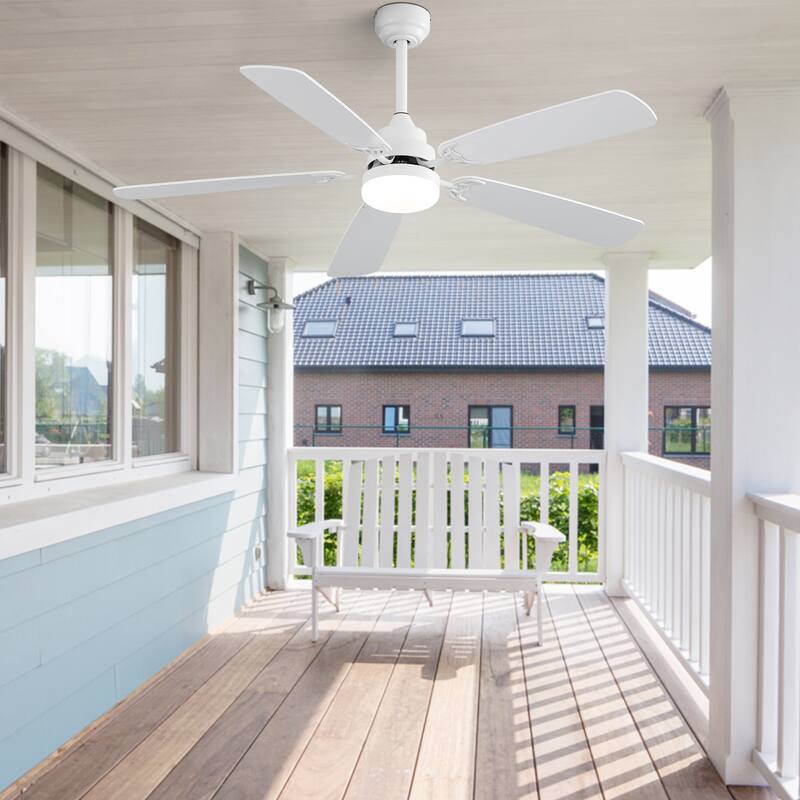 52 inch Ceiling Fan with Remote,Flush Mount and Downrd Mount,Dual Blade Finish,3CCT LED Light,Plywood Blades