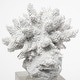 preview thumbnail 3 of 9, Isla (Large) 5L x 5W White Replica Resin Coral On Clear White Glass