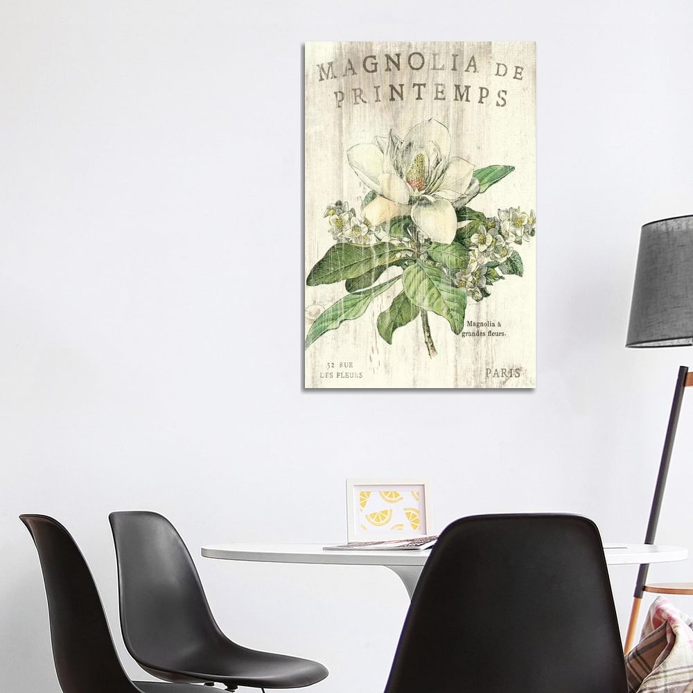 iCanvas "Magnolia de Printemps " by Sue Schlabach Canvas Print
