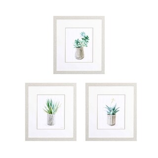 Propac Images Potted Succulent A Set of 3 Wall Art - Green - Bed Bath ...