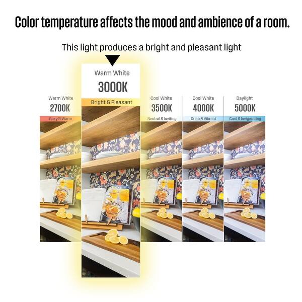 Westinghouse 75W Equivalent Cool Bright G25 Dimmable LED Light Bulb (6 Pack)