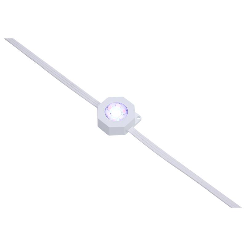 Starfish 12 Watt 25 Foot LED Eave String Light Extension RGBTW White 120