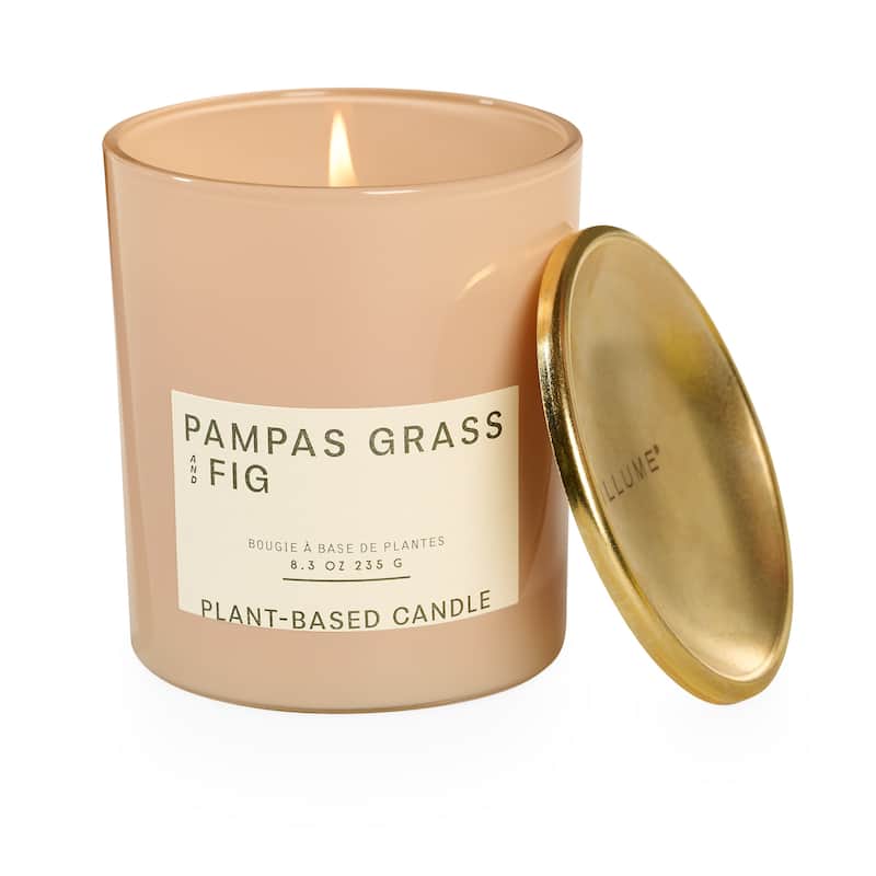 ILLUME Verde Fig & Pampas Grass Candle