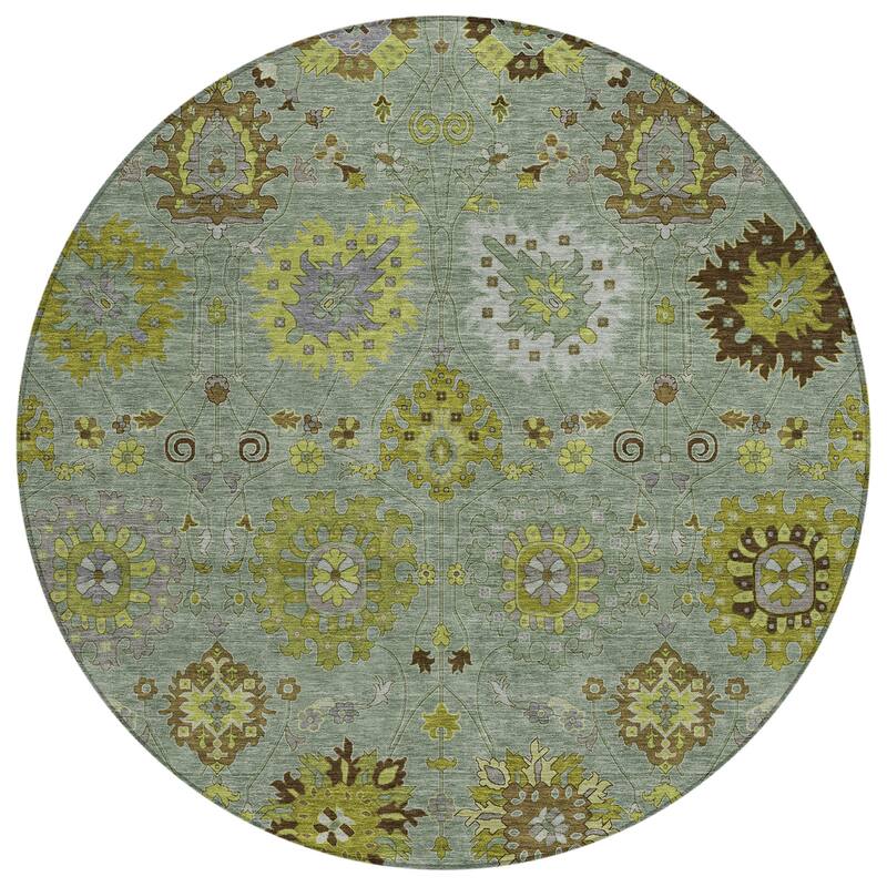 Machine Washable Indoor/ Outdoor Vintage Traditional Chantille Rug