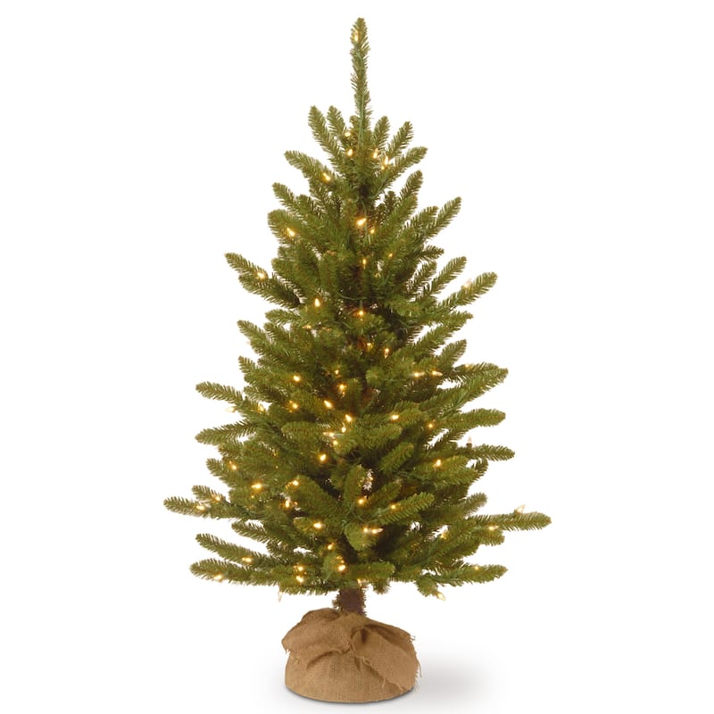 National Tree Company 4 ft. Kensington Burlap Tree with Clear Lights - 4 Foot
