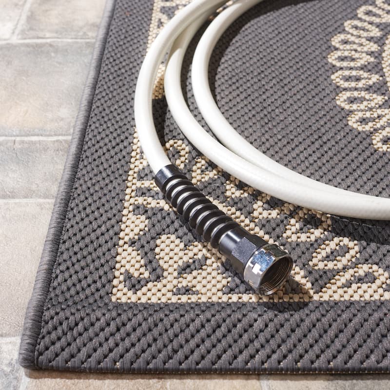 SAFAVIEH Courtyard Lyndy Rug