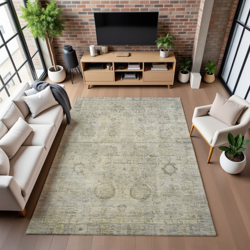 Premium Washable Super Soft Vintage Traditional Mayfield Rug