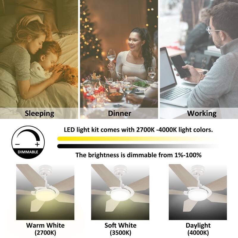 CARRO Boreas 52" Smart Ceiling Fan with Light and Remote-Downrod