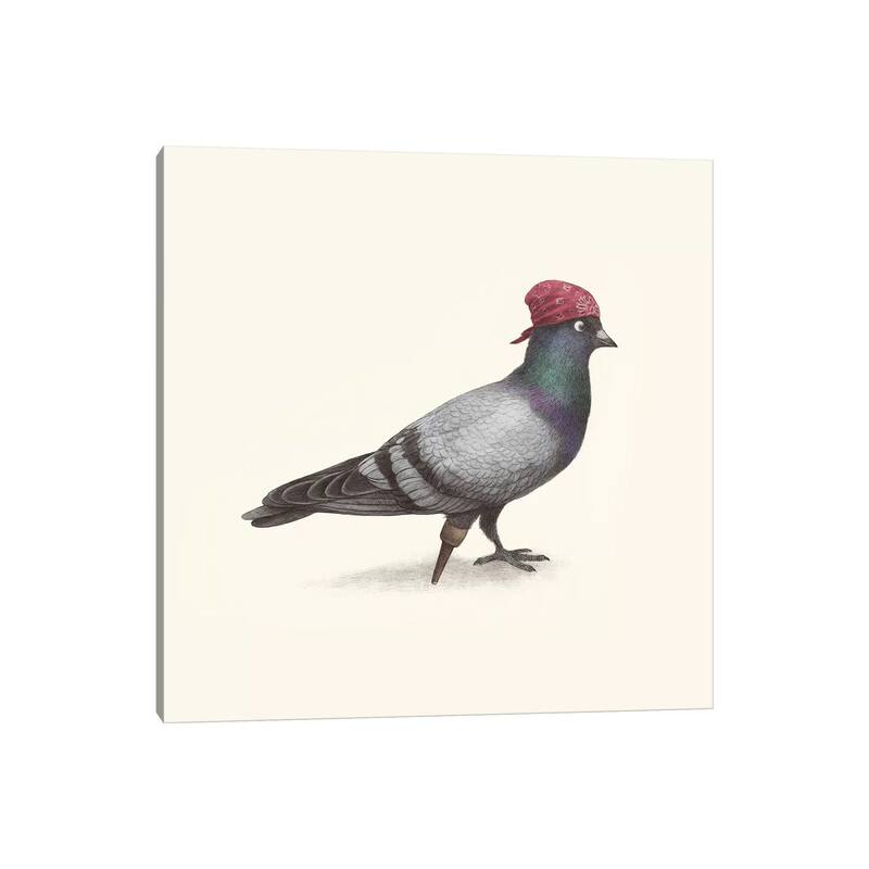 iCanvas "Pirate Pigeon" by Terry Fan Canvas Print