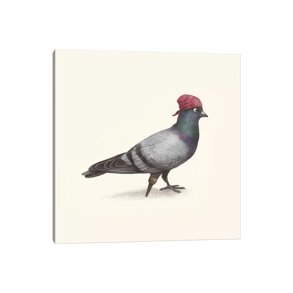 iCanvas "Pirate Pigeon" by Terry Fan Canvas Print
