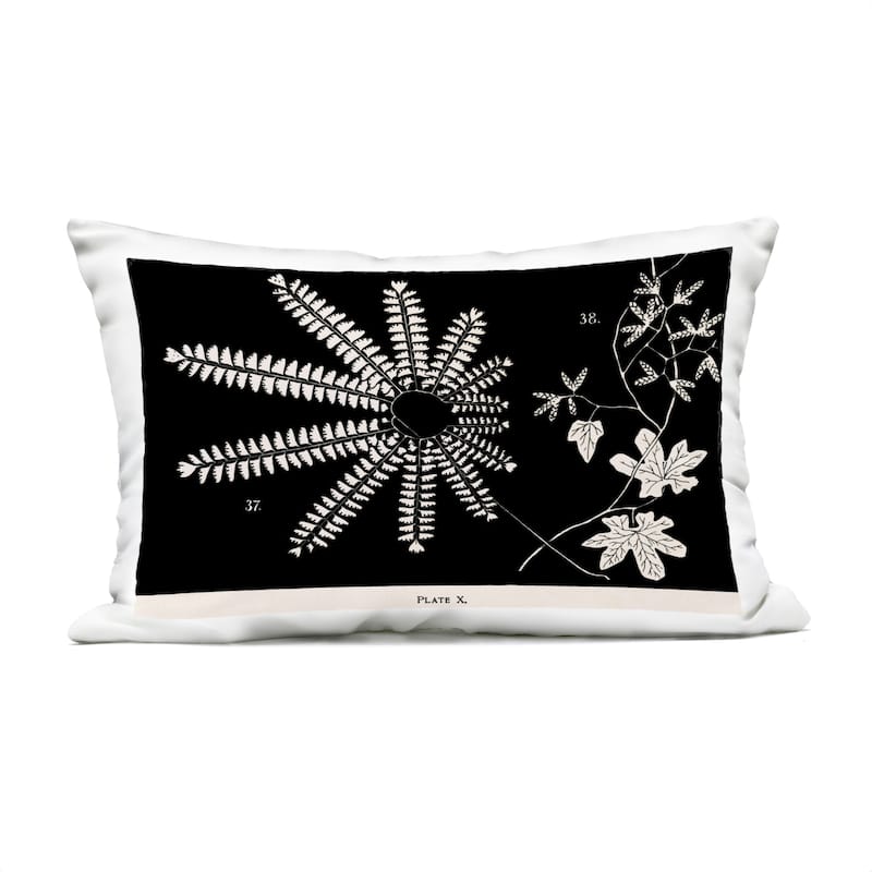 Stupell Ferns & Leaves on Black Printed Outdoor Throw Pillow Design by Phillipa Katz - Accent - Polyester - Black - Single